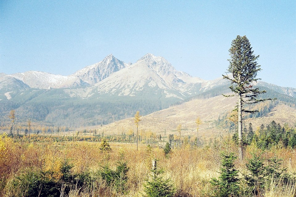 Татре